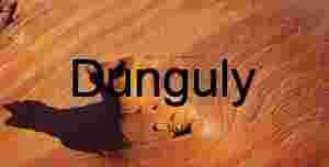 Tip of the elephant's trunk