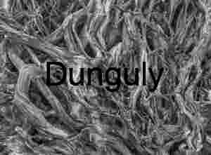 Tortuous Sequoia Roots - Kings Canyon (Black & White Abstract)