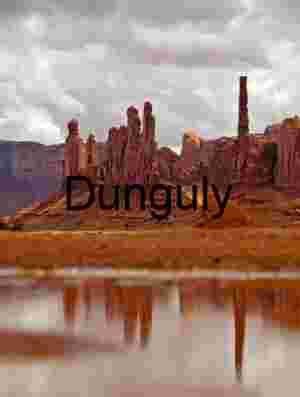 Totem Pole reflection