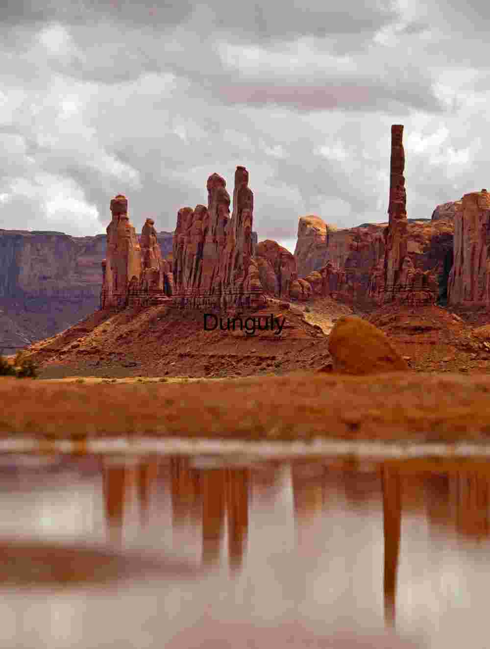 Totem Pole reflection