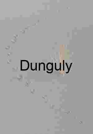 Desert Tracks Around Dry Plant: Eureka Dunes, Death Valley