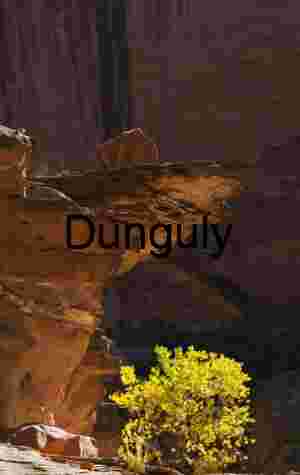 Tree and overhanging rock, Coyote Gulch , Escalante