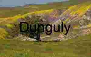 Tree on the Temblor Range ridge | California Superbloom Hillside with Goldfields and Lone Shrub