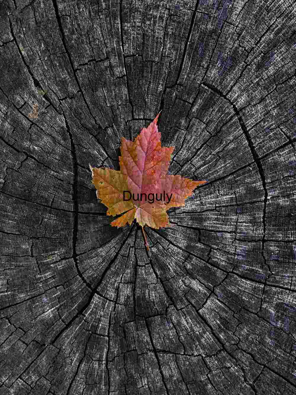 Autumn's Ephemeral Beauty on Timeless Wood