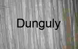 Trees in snow; GAP trail