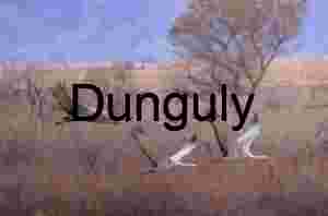 Trio of sandhill cranes in flight; Bosque del Apache