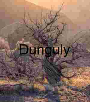 Dramatic Twisted Dead Tree at Sunset, Carrizo Plain