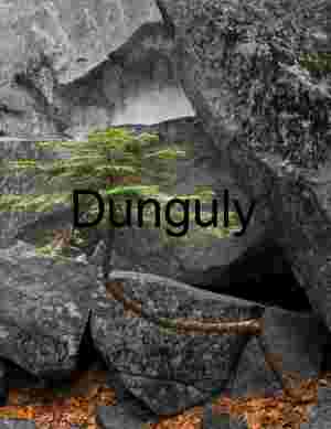 Twisted Pine Sapling Growing from Granite Boulders, Yosemite