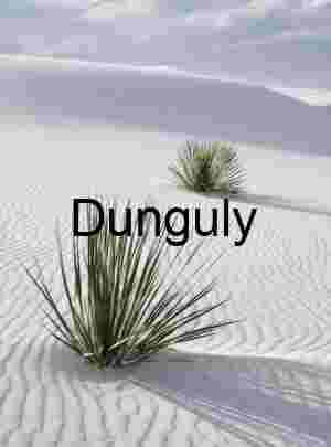 Two Yuccas, White Sands National Monument