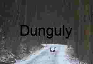 Two geese in snow at mile 69; GAP trail