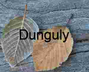 Frosted Autumn Leaves on Aged Wood Texture, Yosemite Macro