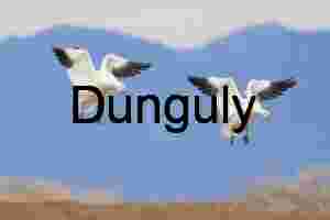 Snow Geese Landing at Bosque del Apache Sunrise | Two snow geese, two mountains; Ladd Gordon Waterfowl Complex