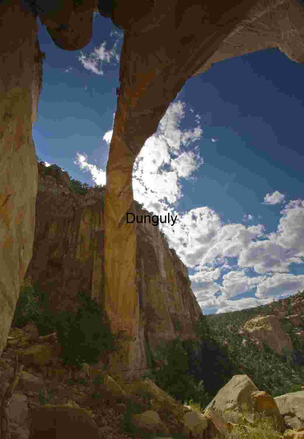 Ventana Arch