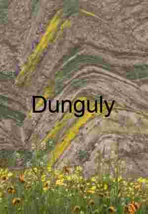 Carrizo Plain Superbloom: Folded Hills and Yellow Flowers