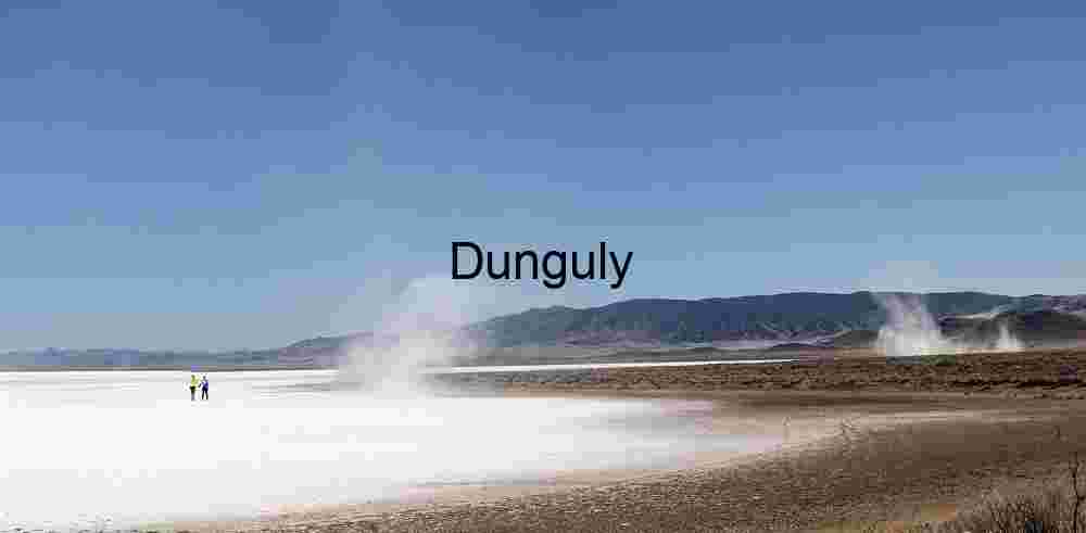 Soda Lake Dry Lake Bed: Walkers and Dust Devils in the Desert