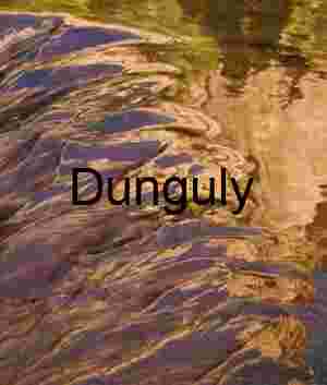 Water ripple reflections ; Left Fork of North Creek, Zion