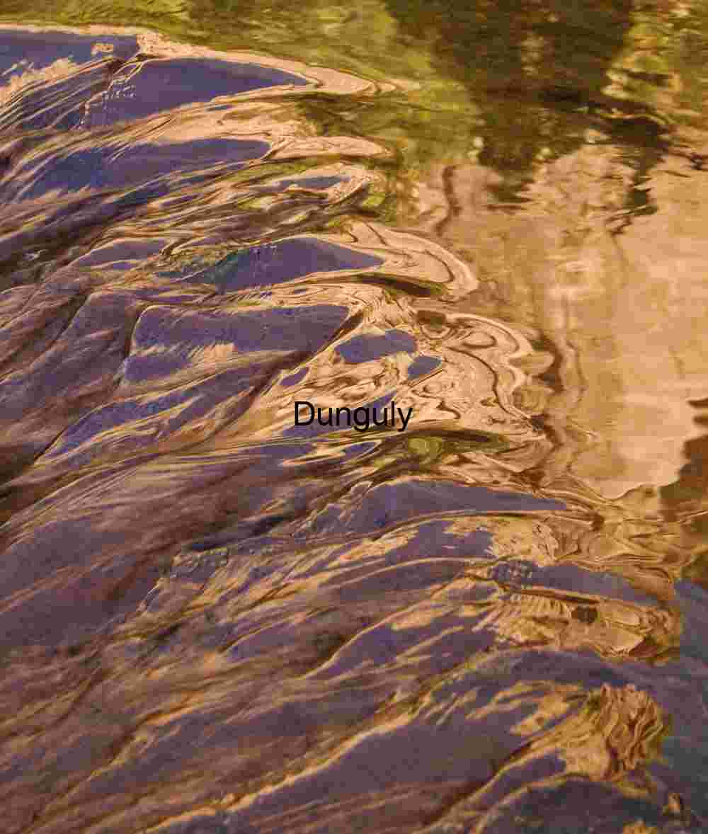Water ripple reflections ; Left Fork of North Creek, Zion