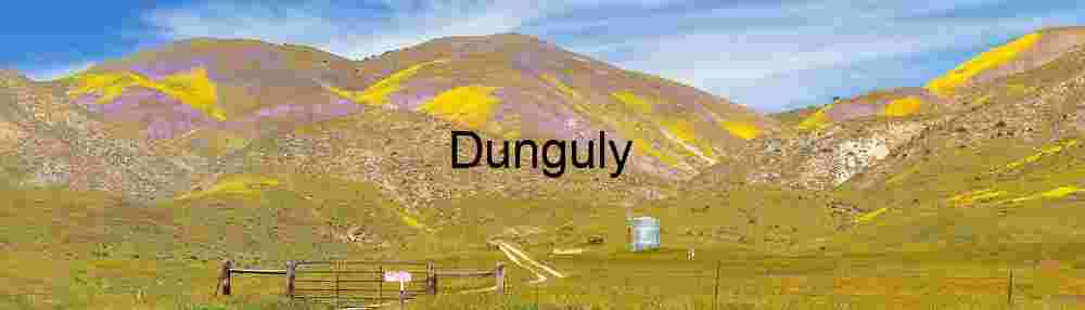Carrizo Plain Superbloom: Temblor Hills Wildflower Panorama