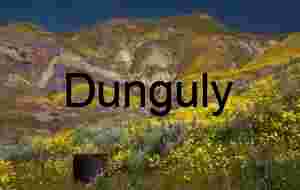 Carrizo Plain Superbloom: Temblor Hills Wildflower Panorama | Water tank high in a Temblor canyon