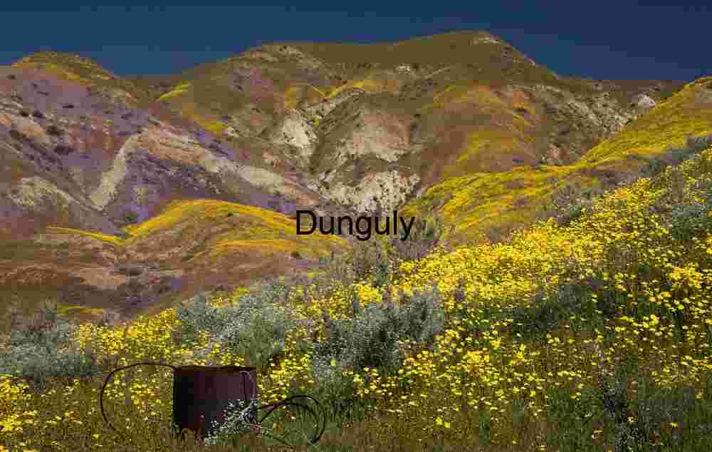 Carrizo Plain Superbloom: Temblor Hills Wildflower Panorama | Water tank high in a Temblor canyon