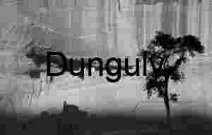 White House Ruin, cottonwood sillhouette, Canyon de Chelly