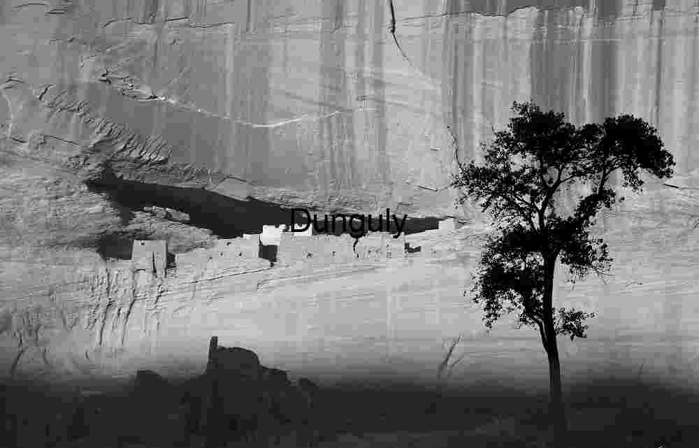 White House Ruin, cottonwood sillhouette, Canyon de Chelly