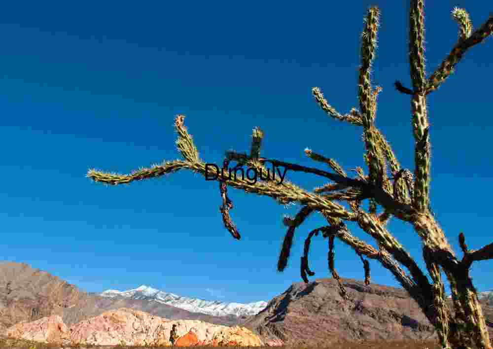 Whitney Pocket - on the way