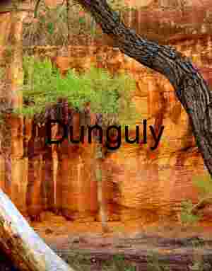 Willow Gulch, Escalante