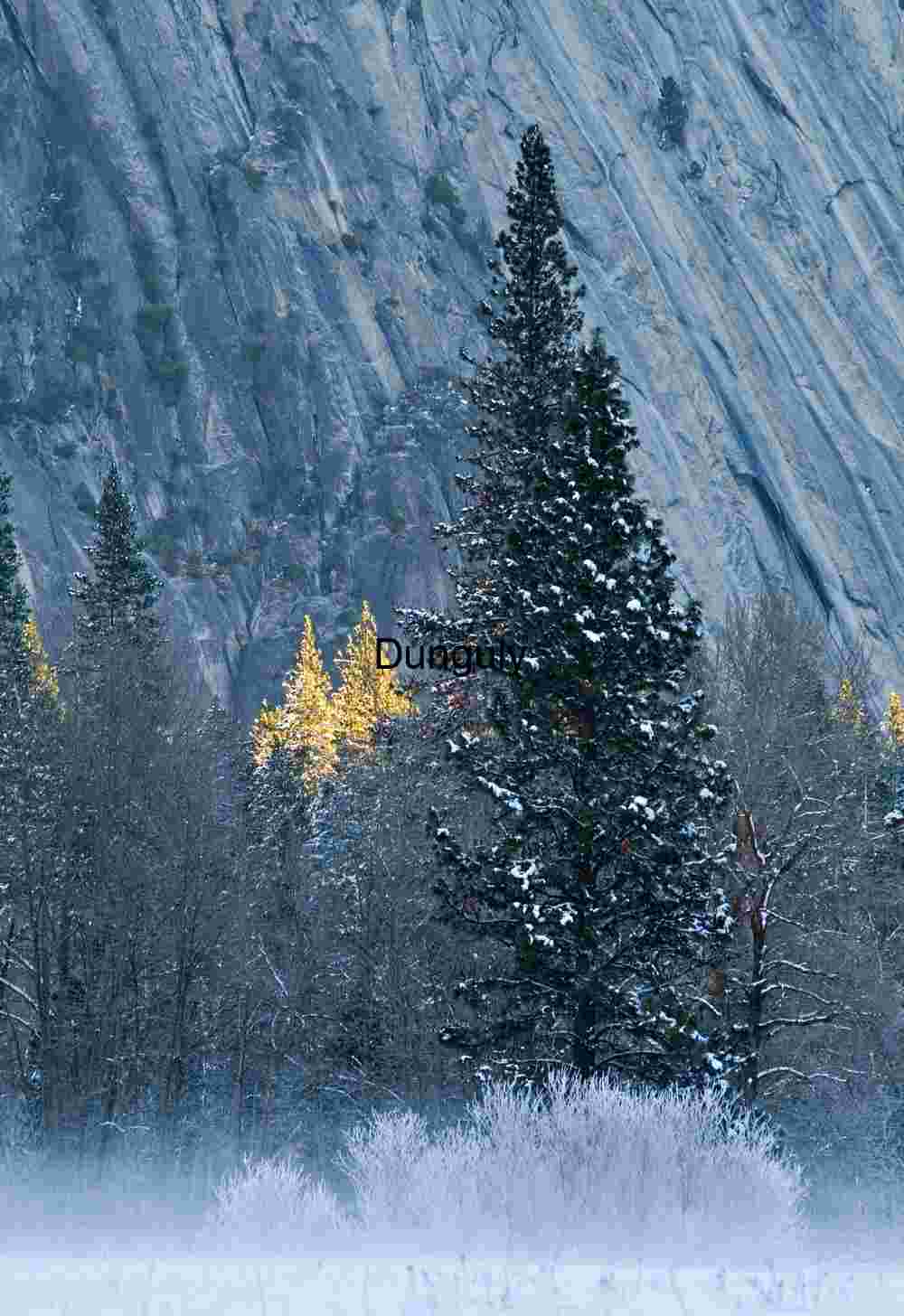 Rainbow Mist Silhouette at Yosemite Falls: Abstract Color