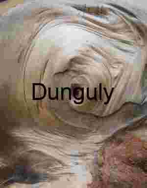 Abstract Wood Grain Texture Eye Knot - Yosemite Nature Art