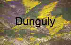 Yellow Superbloom Temblor Range: Carrizo Plain Monument Hills