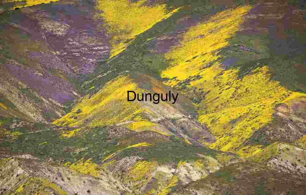 Yellow Superbloom Temblor Range: Carrizo Plain Monument Hills