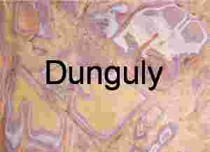 Yellow and purple inclusions