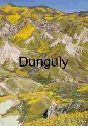 Yellow Superbloom Temblor Range: Carrizo Plain Monument Hills | Yellow ridges