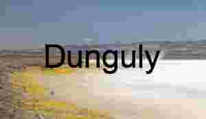 Yellow Flowers, Dust Devils on Soda Dry Lake, Carrizo Plain