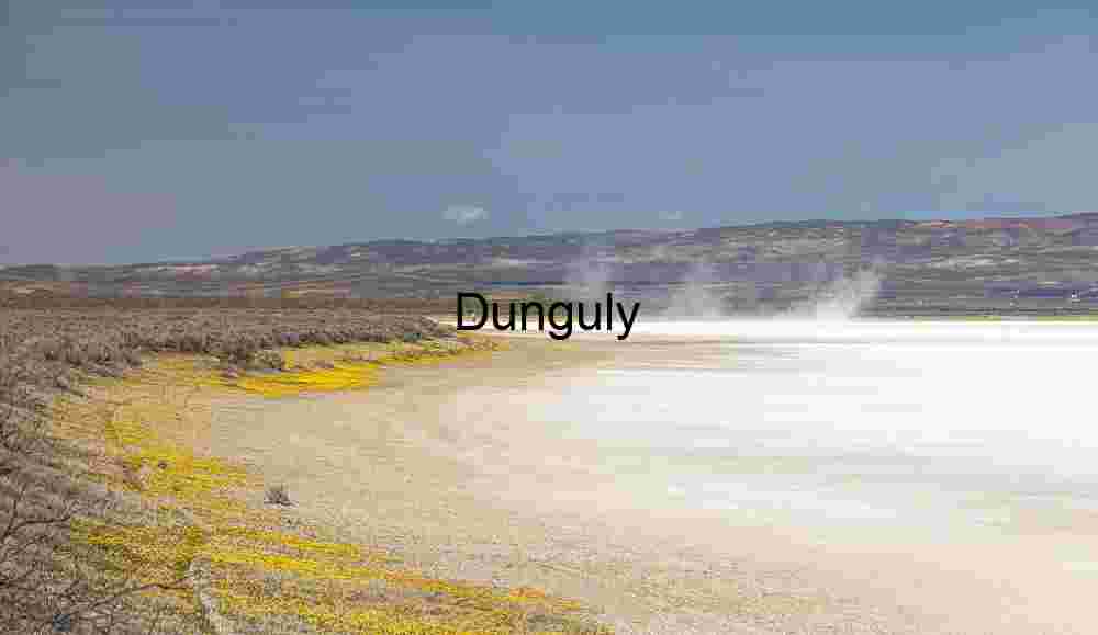Yellow Flowers, Dust Devils on Soda Dry Lake, Carrizo Plain