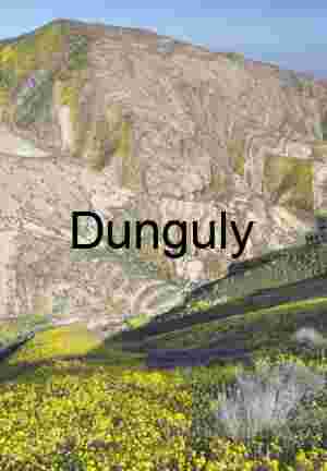 Yellow Superbloom Temblor Range: Carrizo Plain Monument Hills | Yellow wildflowers in the Temblor Range