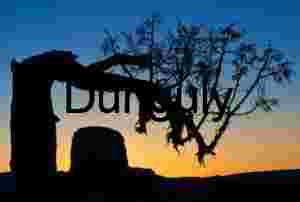 Bent tree and butte looking into the sunset