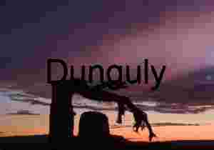 Bent tree (now dead) and stormy sunset