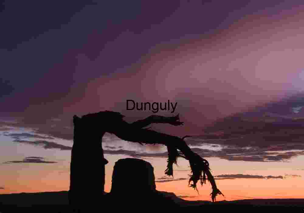 Bent tree (now dead) and stormy sunset