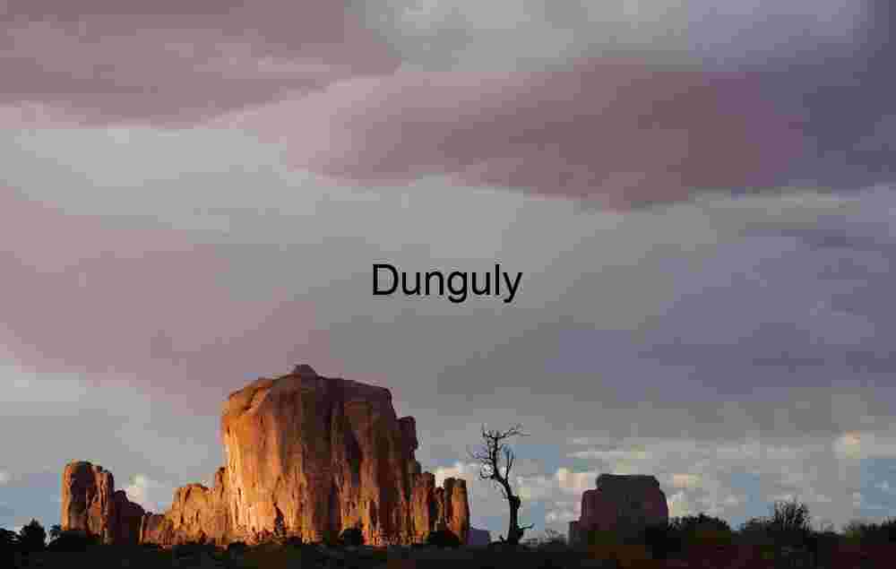 Butte and snag - Monument Valley Sunset