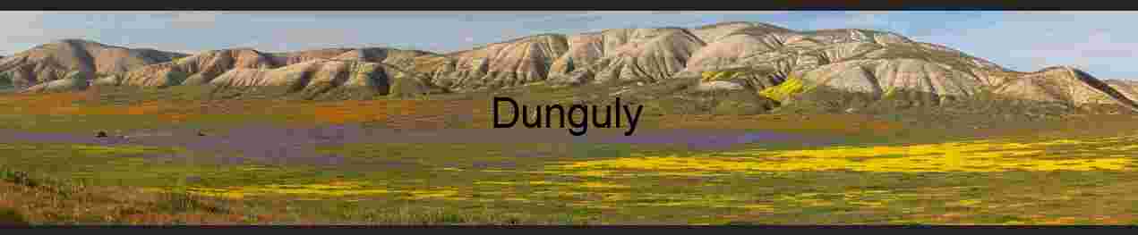 Metadata for SEO and Accessibility