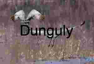 Sandhill Crane Landing Pattern | Sandhill Crane Pair