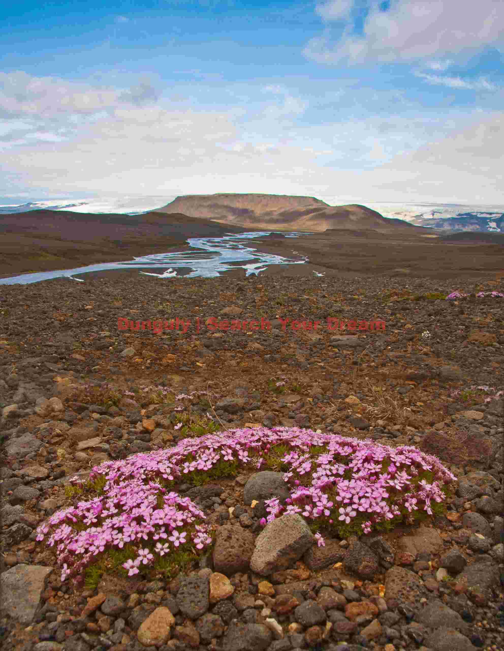 Glacial Ice Formation at A rare splash of color, Kjolur route
