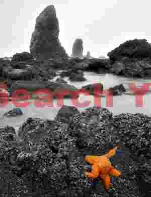 Colorful Coastal Accent