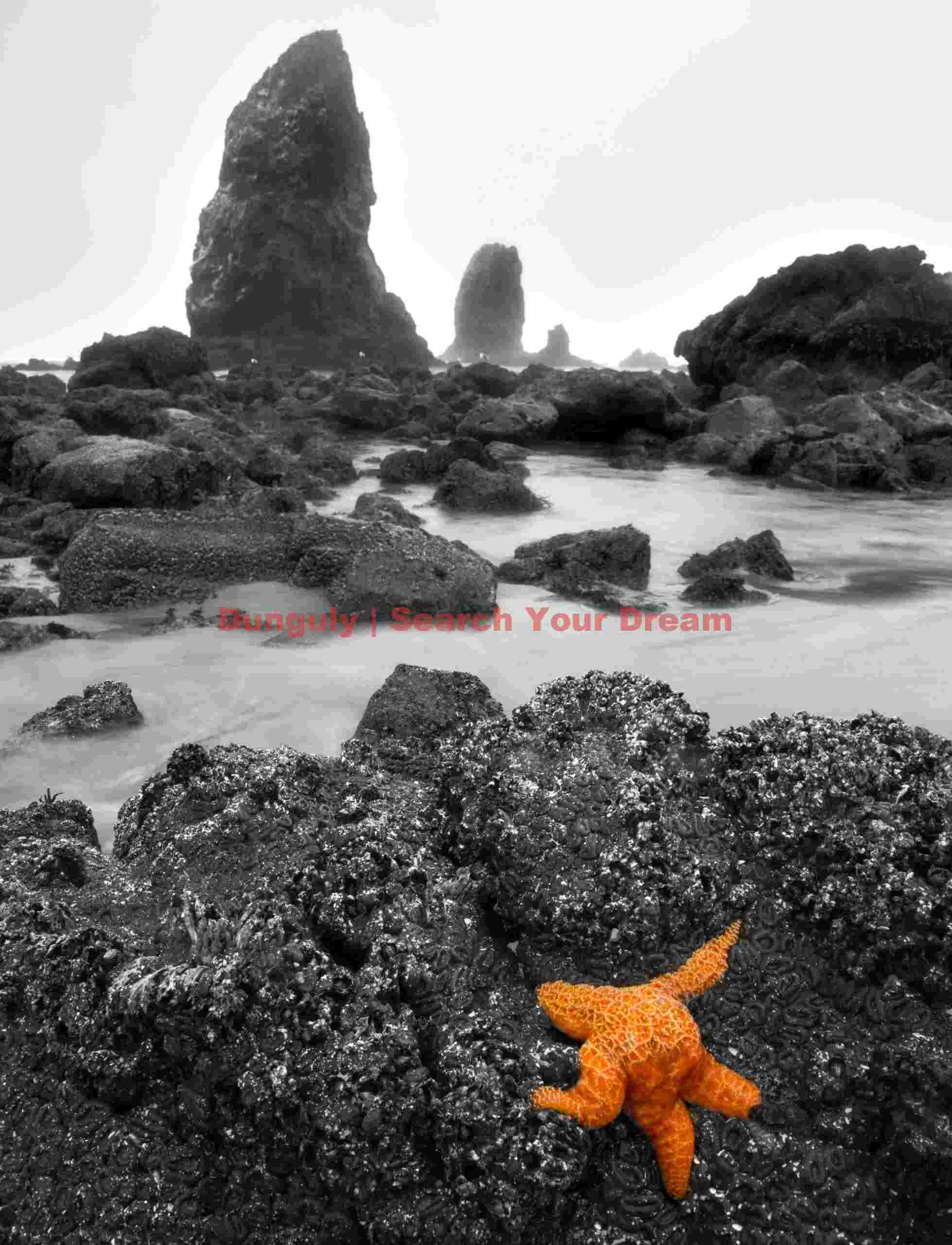 Colorful Coastal Accent