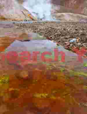 Iceland Landscape: Algae in thermal stream