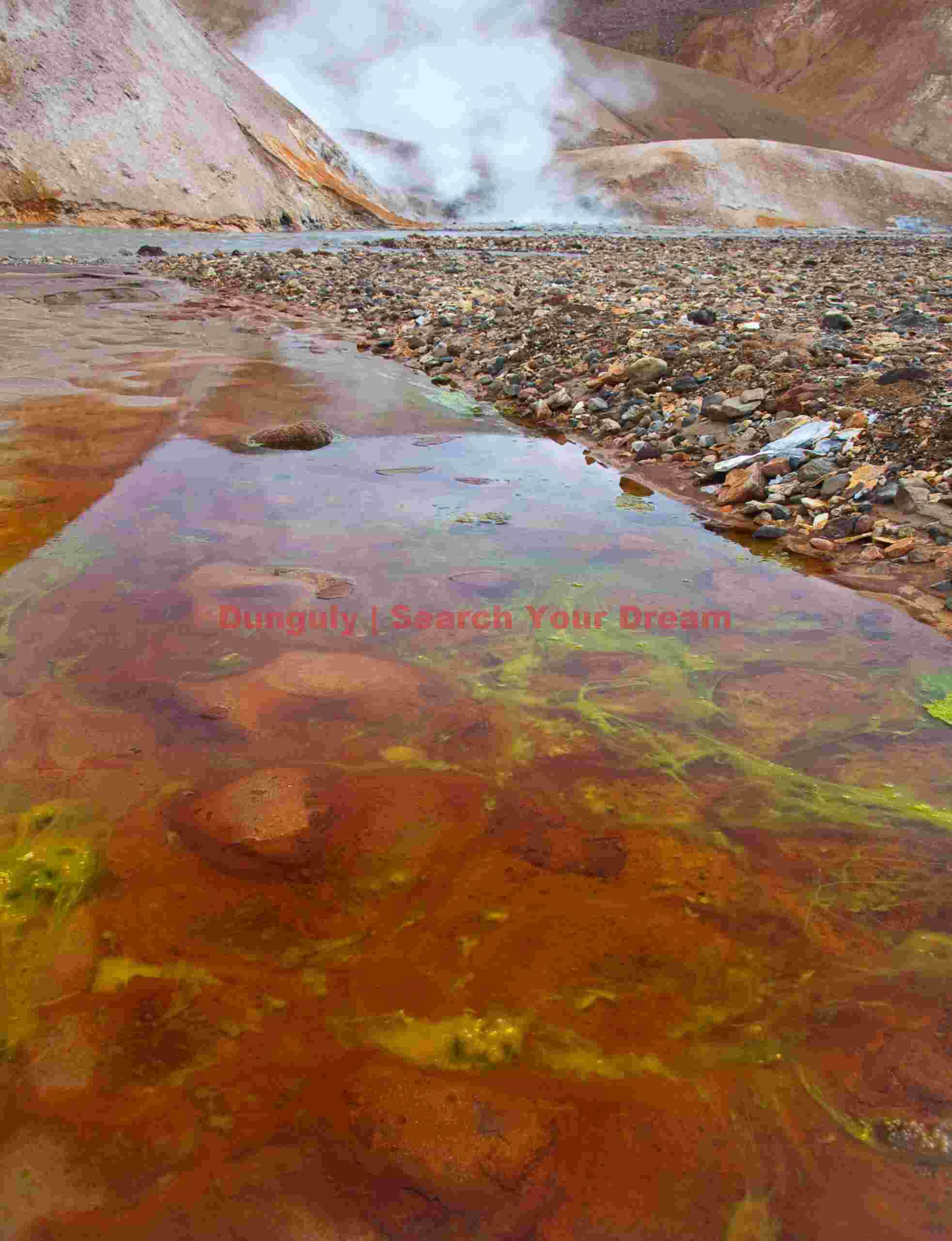 Iceland Landscape: Algae in thermal stream