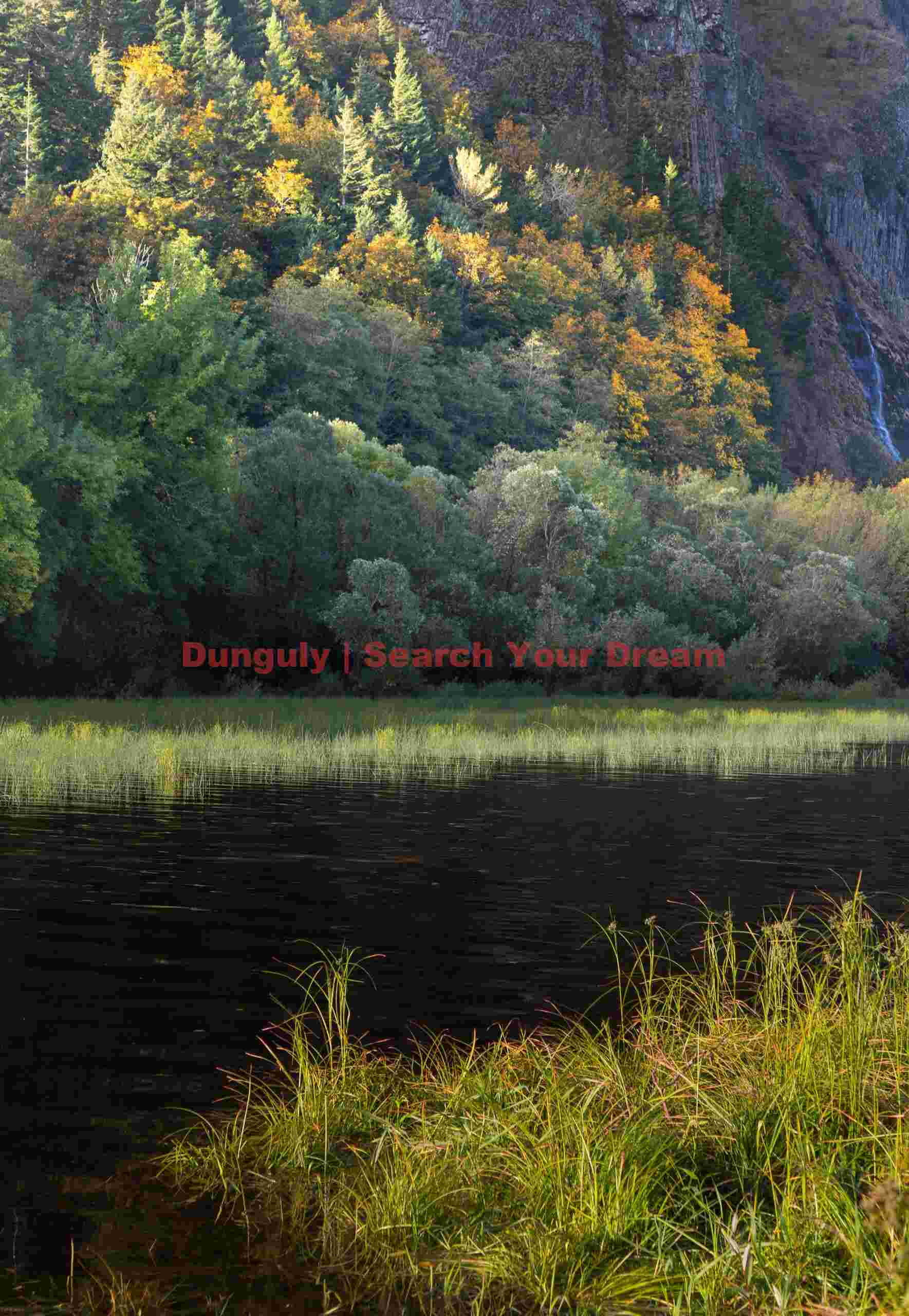 Along Historic Highway 30, Columbia River Gorge, Oregon