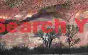 Twisted Trees Against Eroded Badlands